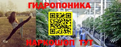прущие грибы Ипатово