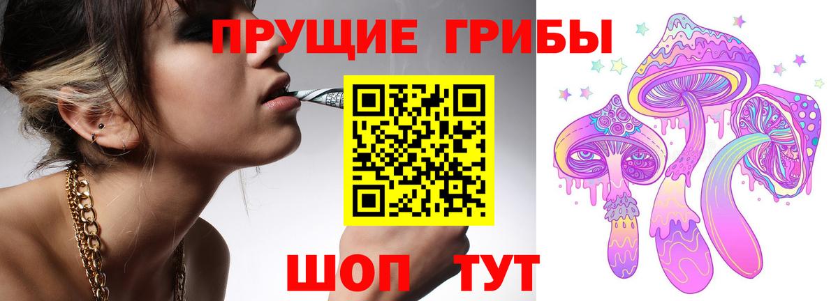 Кудрово  Галлюциногенные грибы мицелий  Вход с VPN 